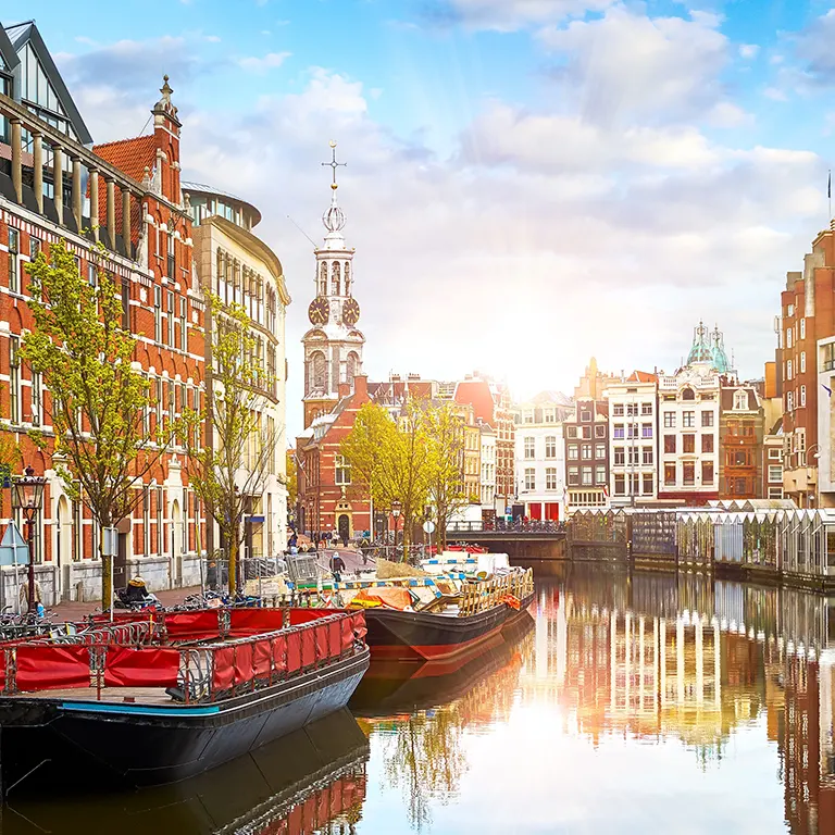 Build Your Future with 5WCompany in the Netherlands